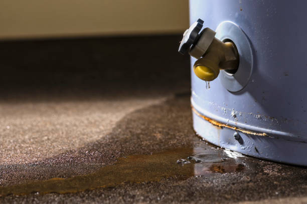 Best Water damage restoration near me  in Gurdon, AR