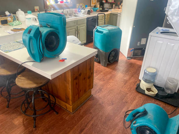 Best Water damage restoration experts  in Gurdon, AR