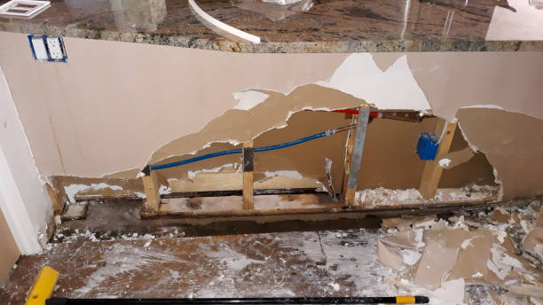 Best Water damage restoration company  in Gurdon, AR