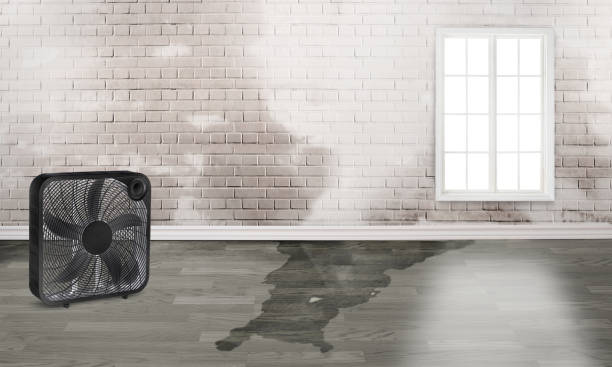 Best 24-hour water damage restoration  in Gurdon, AR