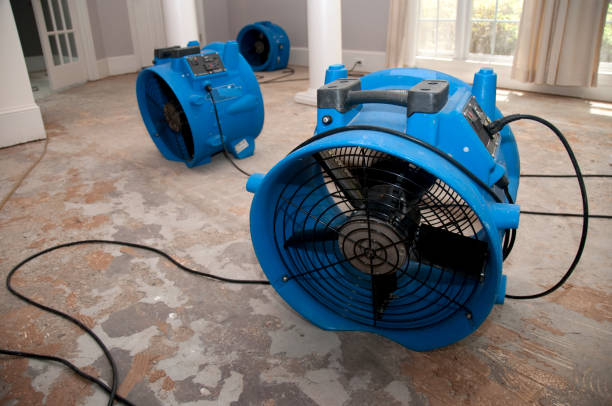 Best Basement water damage restoration  in Gurdon, AR