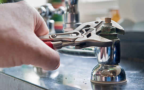 Best Mold removal after water damage  in Gurdon, AR