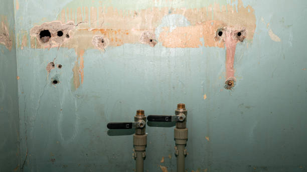 Best Local water damage restoration  in Gurdon, AR