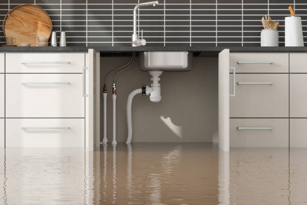 Best Flood restoration services  in Gurdon, AR