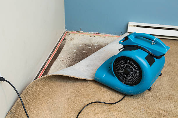 Best Water damage contractors near me  in Gurdon, AR